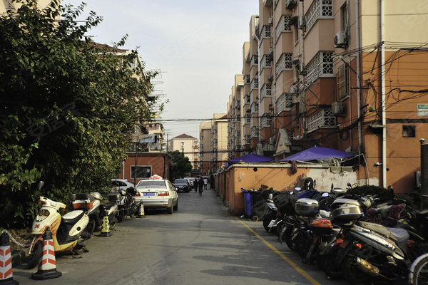 新泾七村 街道图片