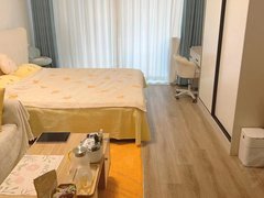 永州冷水滩万达广场理想城 1室1厅1卫 配套齐全 精装修 南北通透出租房源真实图片