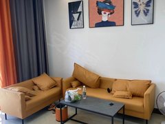 肇庆大旺高新区大旺就近拼多多 希音维龙 唯品会合租房可长短租 拎包入住停车方便出租房源真实图片