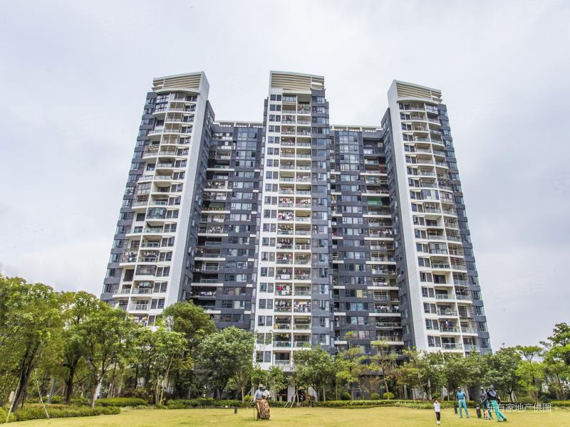一线江景无遮挡 中海水岸城(二三期) 南向好楼层 生活便利