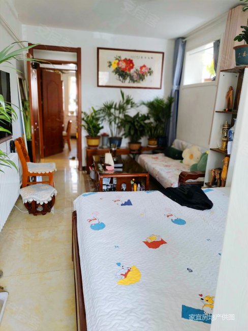 急售急售房主定了房子英雄山路七里山南村3楼精装修