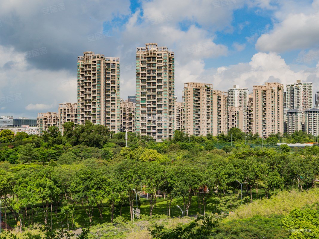 新上笋盘水光潋滟晴方好香域中央花园板楼通透荔园深高