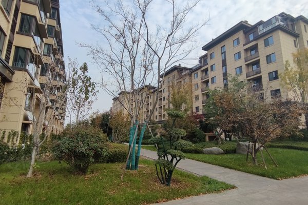 济南小区 章丘小区 章丘小区 黄金生态城 黄金生态城怎么样