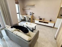 徐州泉山矿业大学整租 可短租月付 矿大文昌 三胞 地铁口软件园 科技城 一室出租房源真实图片