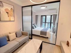 上海浦东唐镇可2人居住 白领公寓房 独立厨卫 精装全配 私密性超好出租房源真实图片