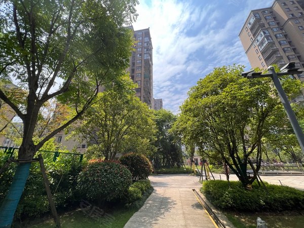 衡阳珠晖酃湖万达佳源罗马都市佳源酃湖都市124平3房出租,洋房,豪华