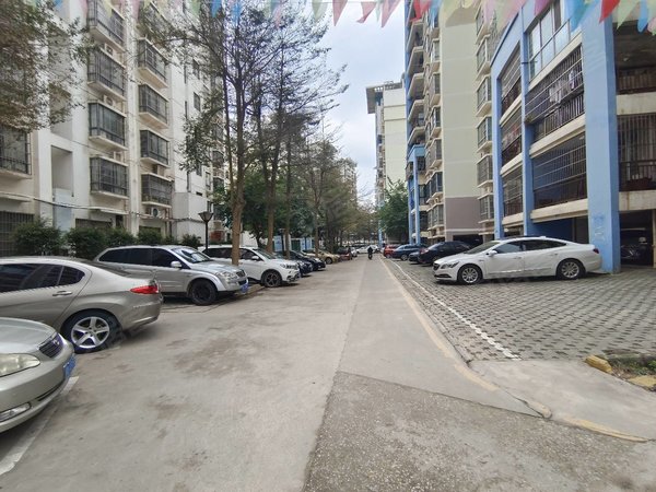 【多图】滨江丽景花园,五象大道租房,滨江丽景花园 大3房 南北通透