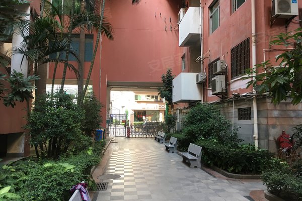 龙江大厦怎么样,好不好_中介房产经纪人:袁柳林对龙江大厦的评价-厦门