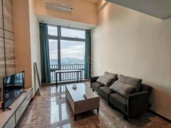 深圳龙岗坂田十号线精装loft一房，少有户型，随时看房，拎包入住！出租房源真实图片