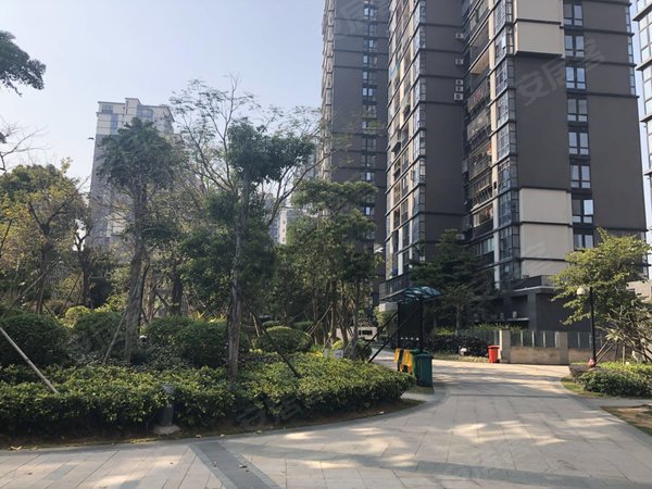 厦门集美同集南路古龙御景(一期)集美嘉庚体育馆 古龙御景 海景大单间