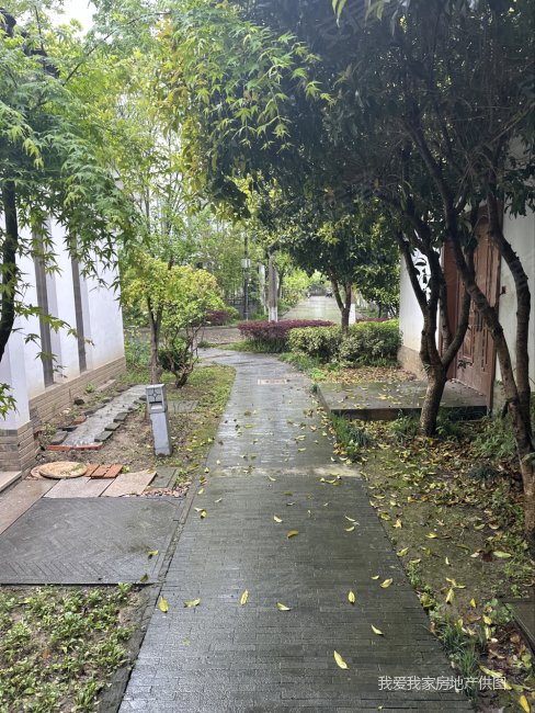 朝南 楼层好,港岛花园(别墅)二手房,539万,4室2厅,1卫,320平米-苏州