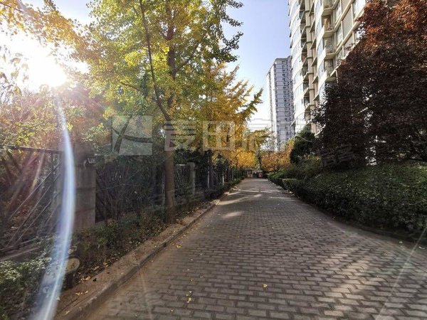 【多图】东恒时代(一期),四惠租房,东恒时代(一期) 1室1厅1卫 59平