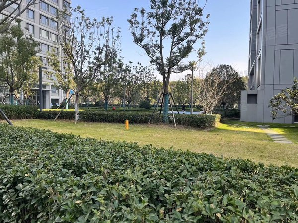 苏州虎丘虎丘城区运河铂湾澜庭xuexiao马路对面 铂湾澜庭二期 定制