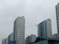 上海金山枫泾枫泾 3室2厅1卫出租房源真实图片