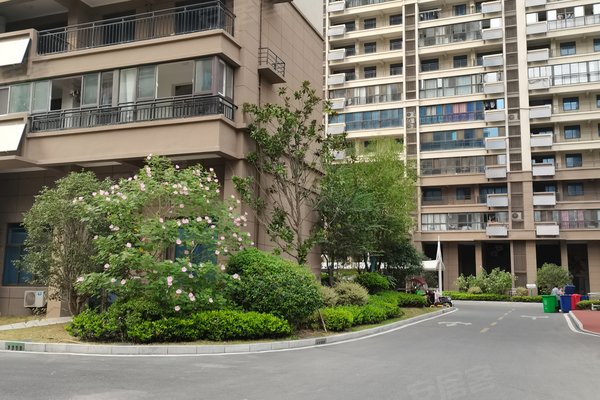 碧桂园天玺(东区)