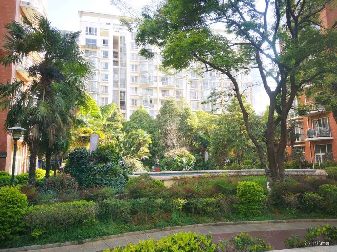 123平  国际棕榈泉花园高新区3房 南北115万精装