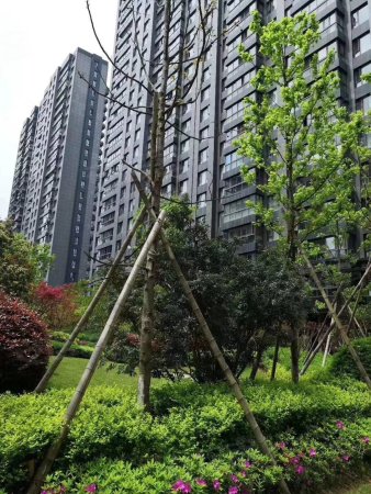 温州二手房 苍南二手房 灵溪二手房 金都家园 