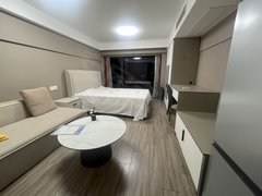 九天泽一loft 拎包入住 璞玉公馆 客运中心1 9号线