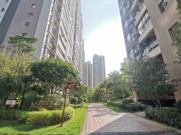 梧州长洲市政府山海观电梯高层,寻求爱干净的租客,不养宠物,准时交租