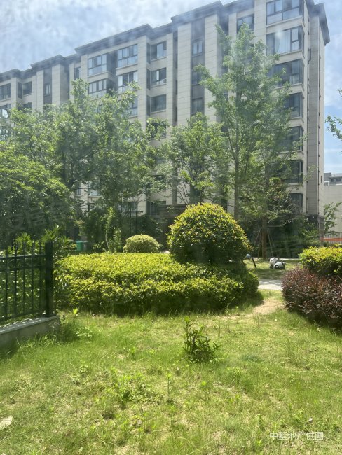 远洋万和云锦 一楼带地下室 洋房户型