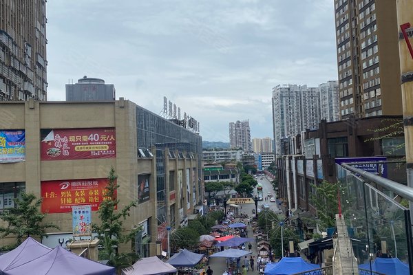 遂宁小区 大英小区 1号庄园小区 依山美郡特色 【小区户型】小区一共