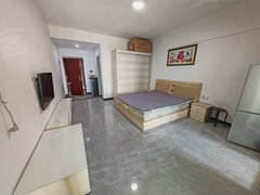 武汉黄陂汉口北汉口北地铁旁 一号公馆 精准一室 家具齐全 领包入住南北通透出租房源真实图片