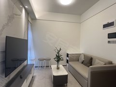 深圳龙华深圳北站业主急租!深圳北站,实拍一房公寓,南北通透,随时看房出租房源真实图片