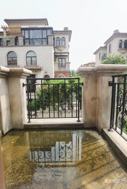 紫湖国际(别墅)7室3厅6卫315.69㎡南北560万