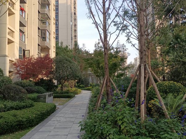 重庆渝北中央公园万科森林公园林琅密码锁随时看房,家具家电齐全,朝南