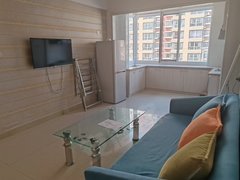 朝阳朝阳县朝阳城区新柳城c区两室一厅4楼月租1200出租房源真实图片