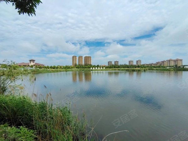 天津武清梅厂镇蓝湖郡蓝湖郡电梯洋房,可长租,免电费,居住舒适出租