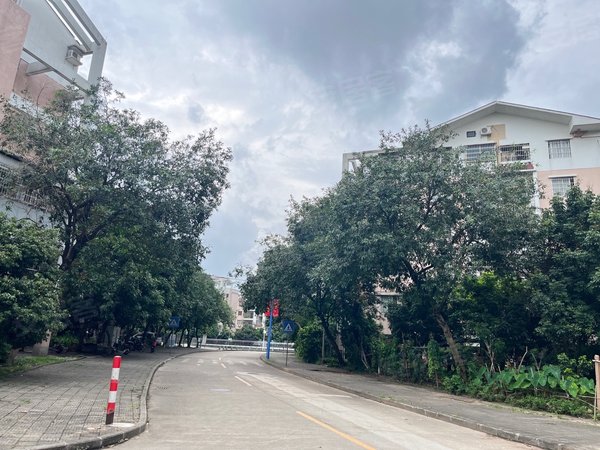 广州番禺新造谷围新邨(别墅)谷围新村整栋别墅出租配套齐全,带车位