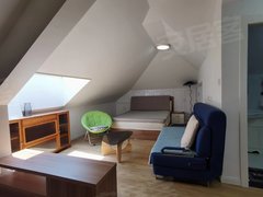 上海青浦赵巷新华联奥莱悦府 1室1厅1卫出租房源真实图片