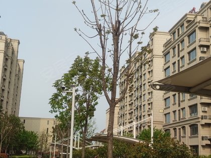 翰林庄园,聚才七路,近临西九路 - 临沂翰林庄园二手房,租房,房价-临沂