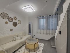 紫荆公园loft 挑高公寓，琅越龙洲，2室1厅2卫，拎包入住