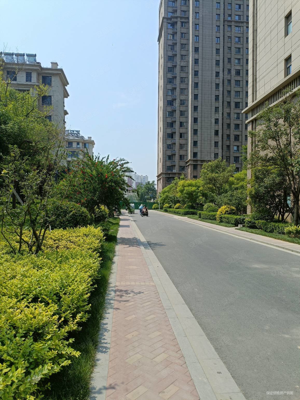 钻石嘉园5室3厅3卫312.63㎡南北370万