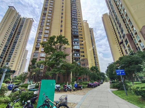 【多图】金坤尚城学府里,滇池路片区租房,豪华装修三房带全套家具家电