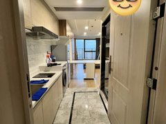湖州吴兴西南新城梦享城 1室1厅1卫出租房源真实图片