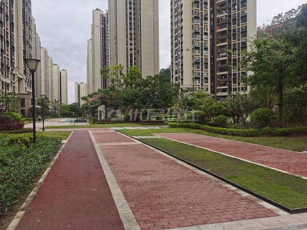 广州增城永和金地香山湖香山湖 南向三房出租 进出方便出租房源真实