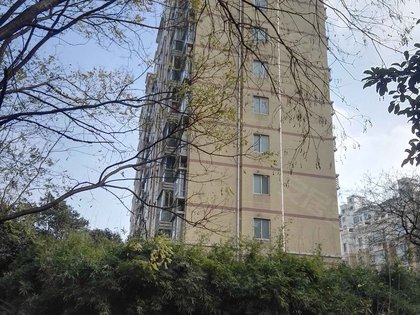 南国花园 七莘路3198弄1 40号 上海南国花园二手房 租房 上海安居客