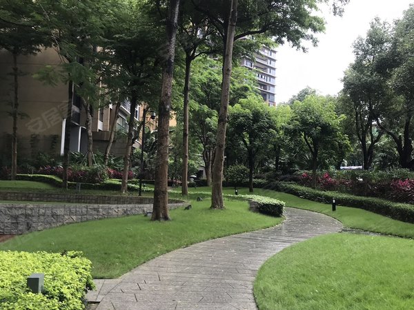 深圳龙岗坂田华晖瑞禧家园新上坂银隧道口 华晖瑞禧 横厅格局 空房