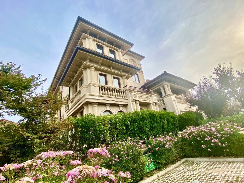 东李大产权 独栋现房别墅 世博园旁 山景别墅 大面积私家庭院