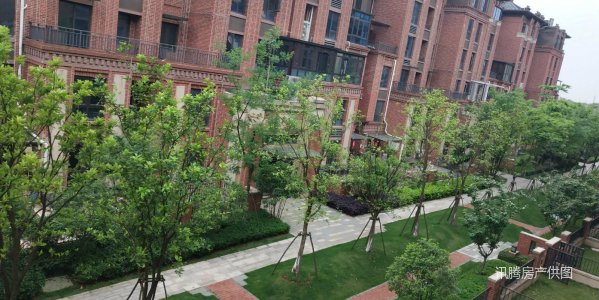 国博城电梯洋房 房东急售 四房 送一个18个平米带露台