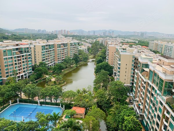 【多图】海怡湾畔,唐家湾租房,唐家市场电梯两房保养非常好近港湾一号