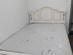 苏州太仓双凤中锐星斓璟园,无中介费,朝南独立卫,随便看房出租房源真实图片