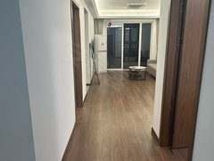 武汉黄陂盘龙城20W简约装修 奥特莱斯 汉口湖畔一期 帝大御璟城 可短租月出租房源真实图片