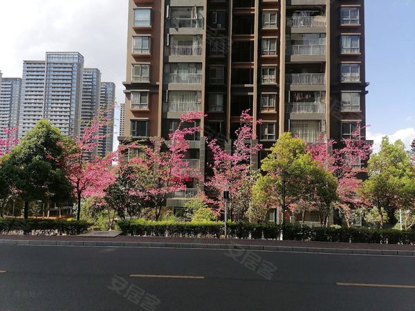 昆明呈贡市政府惠景园惠景园 呈贡呈祥街精装4卧中层 近便民中心 小区