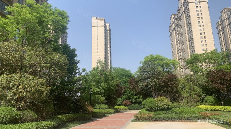 曲江 阳光城紫金城 3室2卫132平249w 小高采光视野好