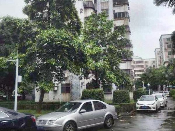 【多图】碧海湾花园,碧海湾租房,火爆出租!