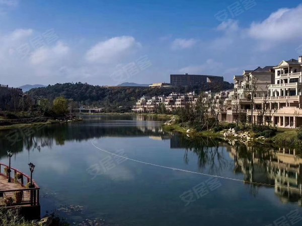 贵阳乌当保利公园保利公园2010约克郡保利公园精装独栋别墅 带电梯 全